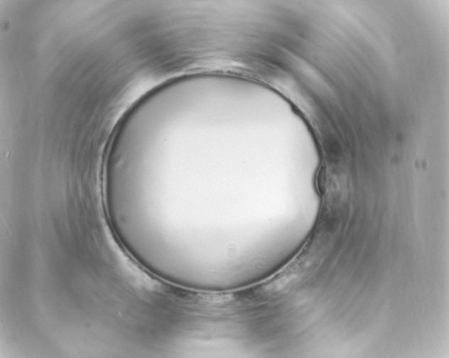 X0000088841055200706281817