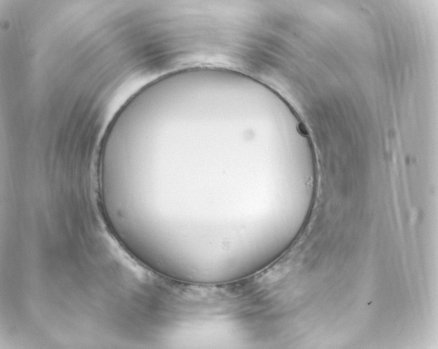 X0000088841056200706281817