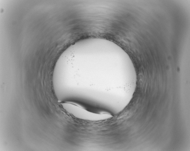 X0000088841057200706281816