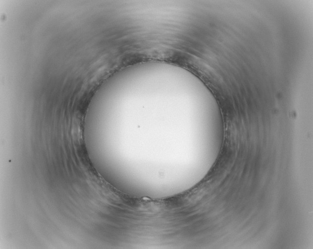 X0000088841058200706281816