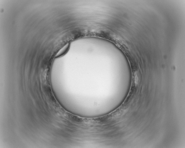 X0000088841059200706281816