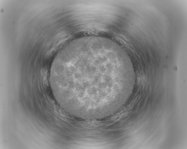 X0000088841060200706281816