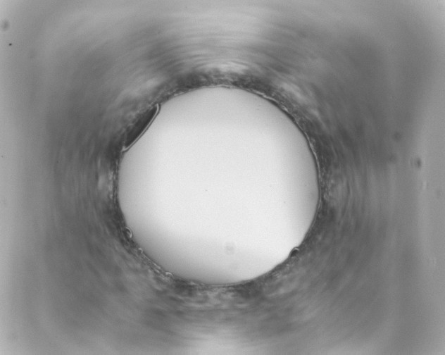 X0000088841061200706281816