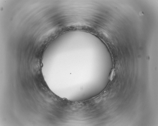 X0000088841062200706281816