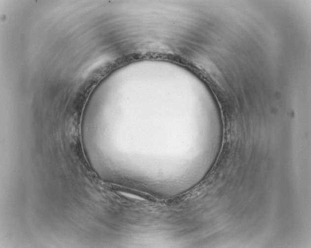 X0000088841063200706281816