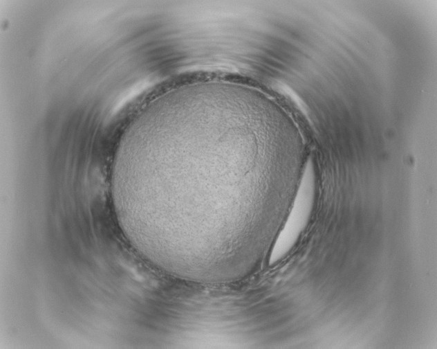 X0000088841064200706281816