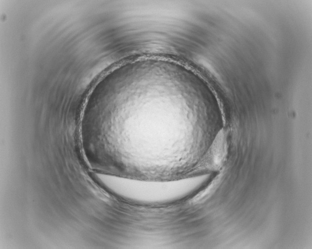 X0000088841065200706281816