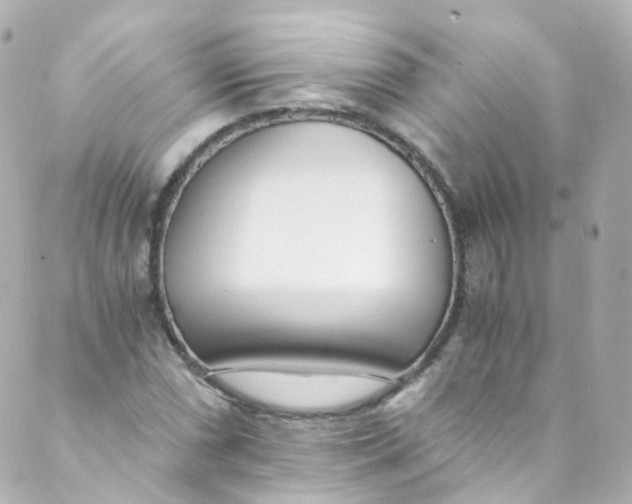 X0000088841066200706281816