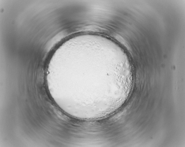 X0000088841067200706281816