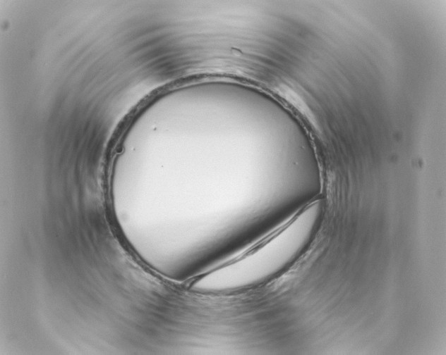 X0000088841068200706281816