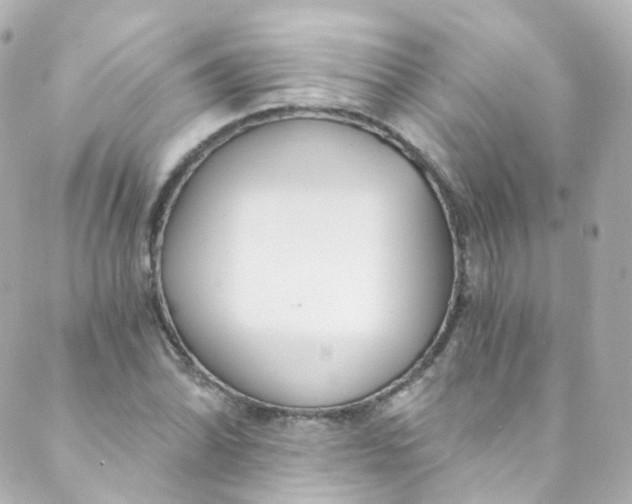 X0000088841070200706281816