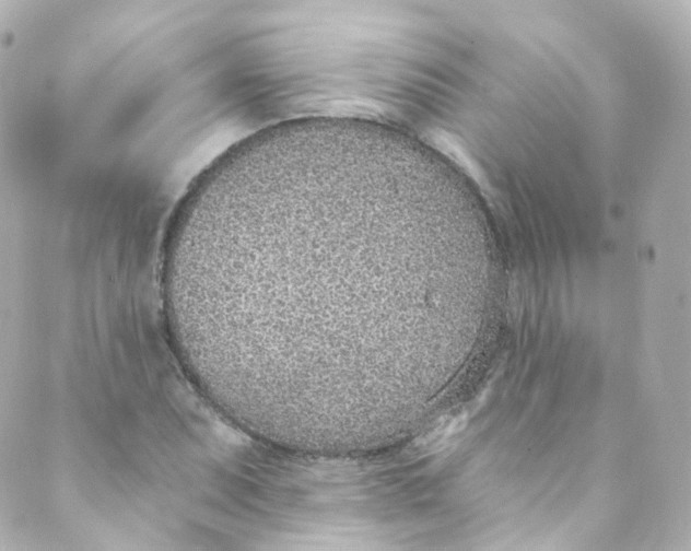 X0000088841071200706281816