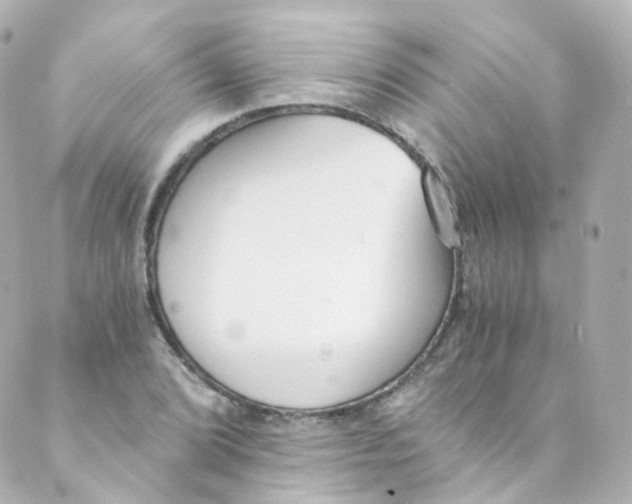 X0000088841072200706281816