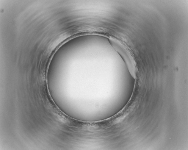 X0000088841073200706281815