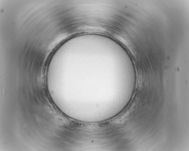 X0000088841074200706281815