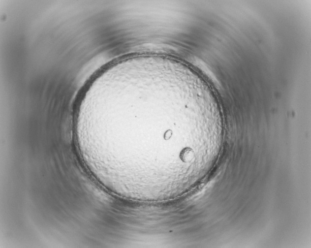 X0000088841075200706281815