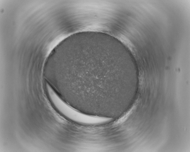 X0000088841077200706281815