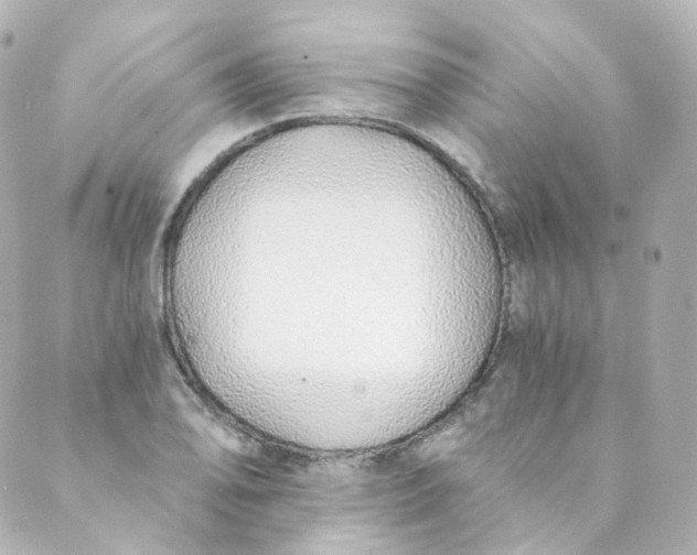 X0000088841078200706281815