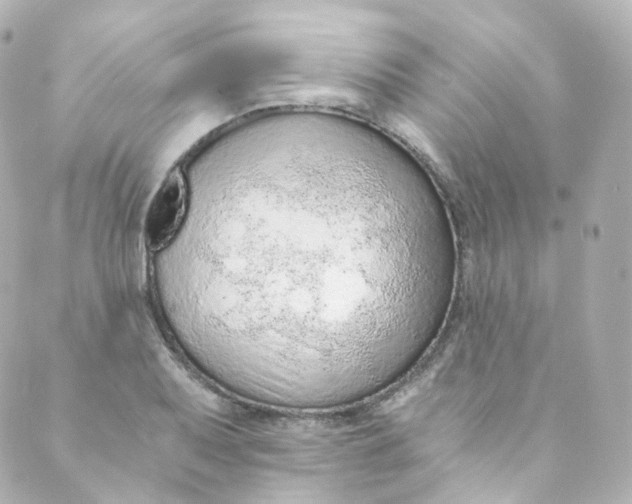 X0000088841079200706281815