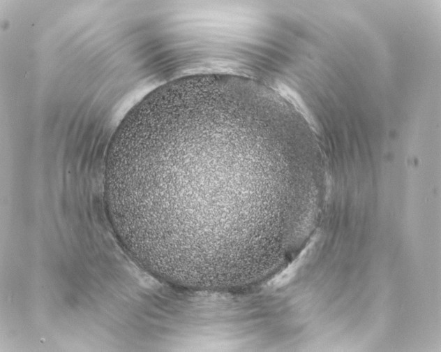 X0000088841081200706281815