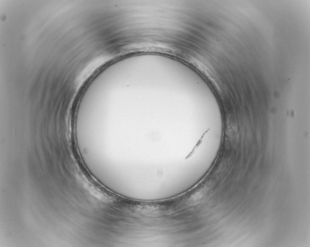 X0000088841082200706281815