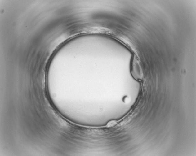 X0000088841083200706281815