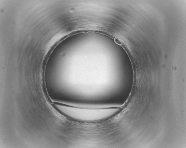 X0000088841085200706281815