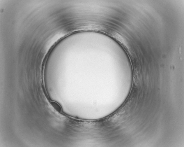 X0000088841087200706281815