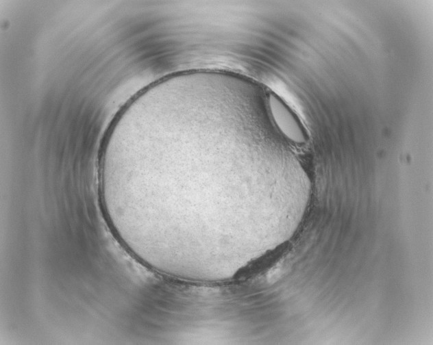 X0000088841088200706281815