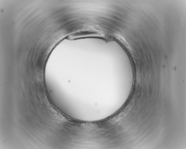 X0000088841089200706281815