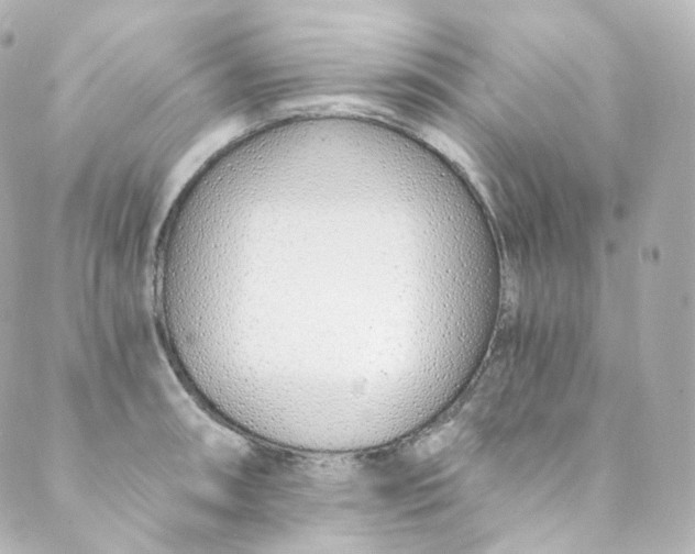 X0000088841090200706281815