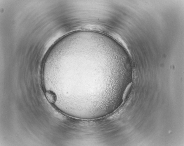 X0000088841091200706281815