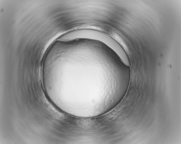 X0000088841092200706281815