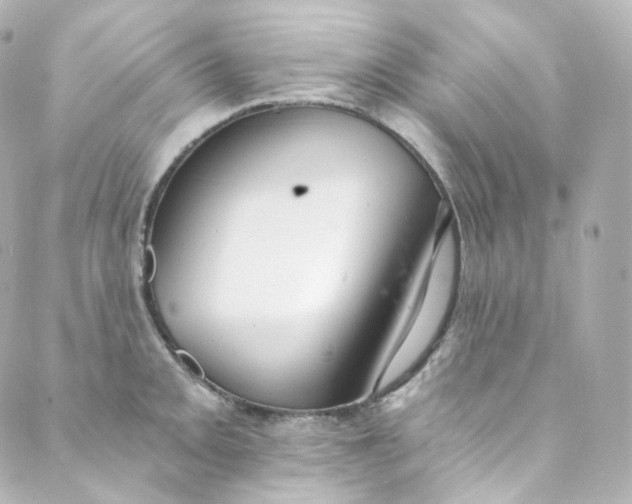 X0000088841093200706281815