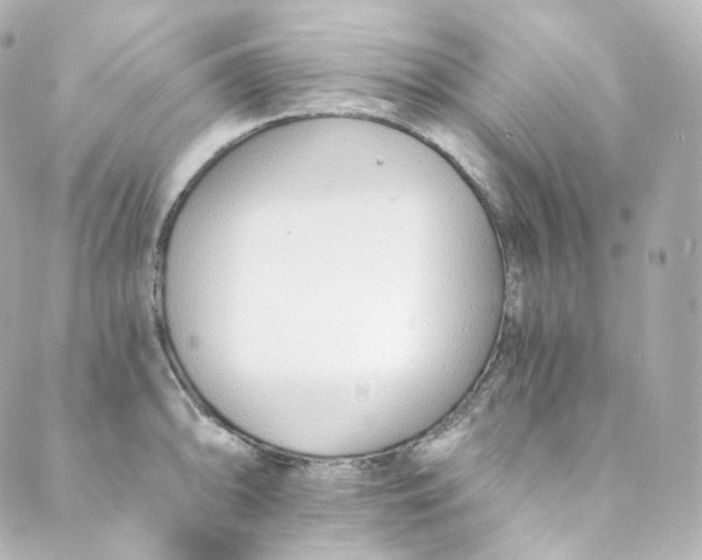 X0000088841094200706281815