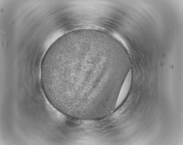 X0000088841095200706281815