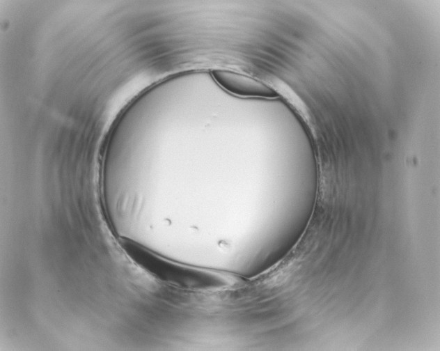 X0000088841096200706281815