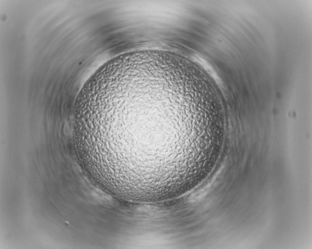 X0000088841097200706281815