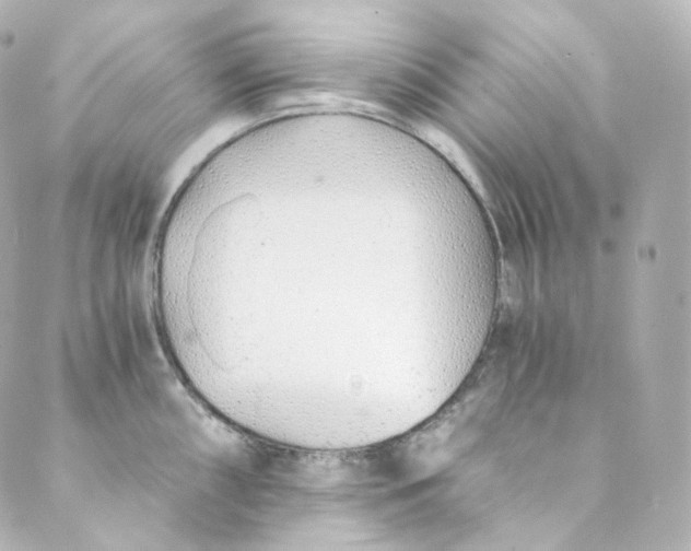 X0000088841098200706281815