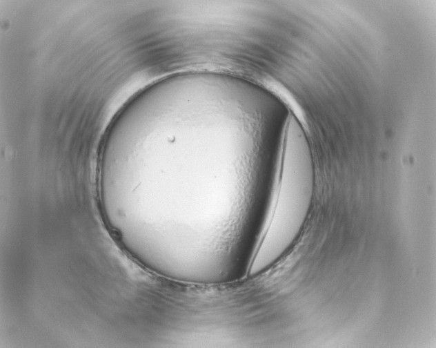 X0000088841099200706281815