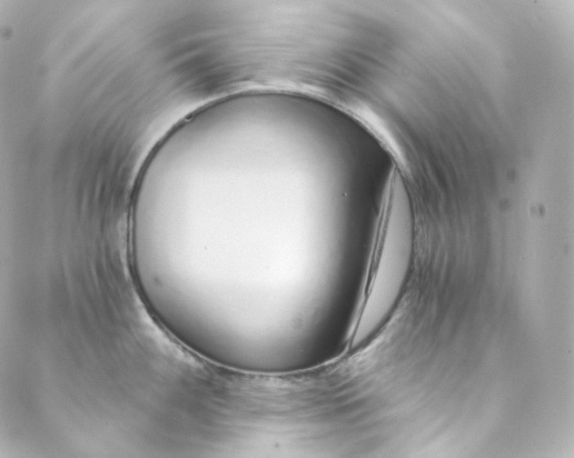 X0000088841100200706281815