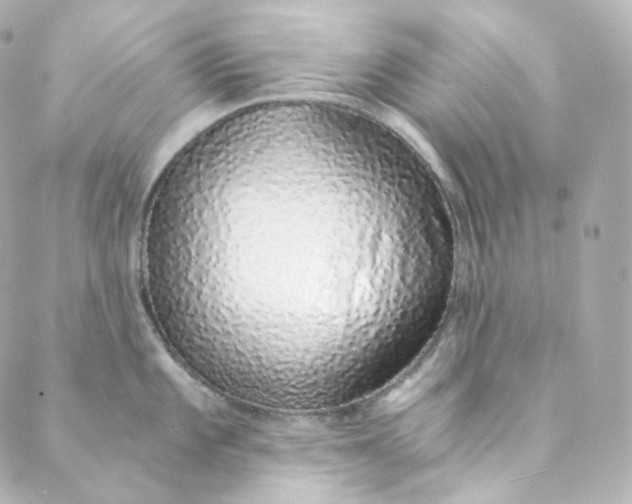 X0000088841101200706281815