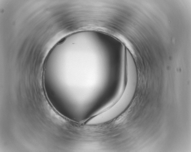 X0000088841102200706281815