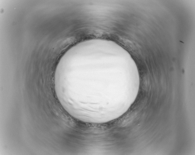 X0000088841105200706281814