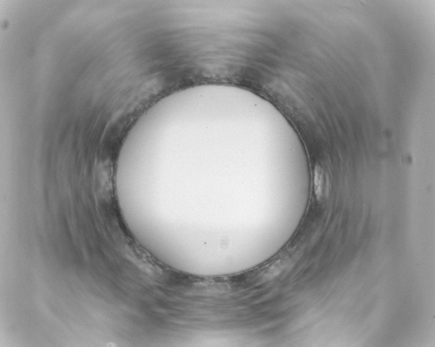 X0000088841107200706281814