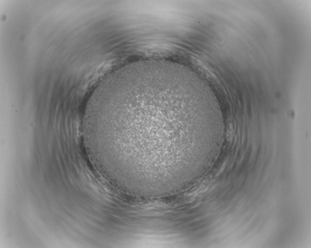 X0000088841108200706281814