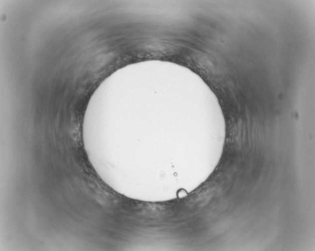 X0000088841109200706281814