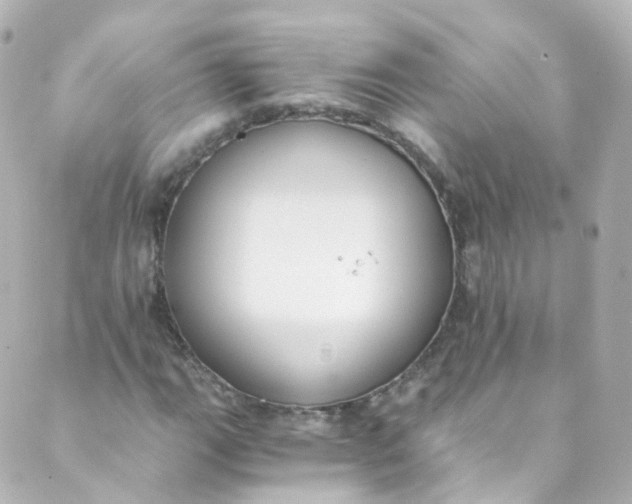 X0000088841111200706281814