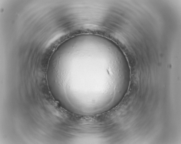 X0000088841112200706281814