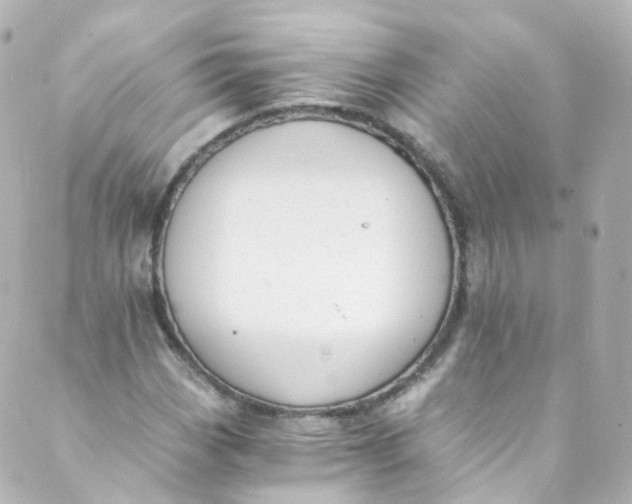 X0000088841113200706281814